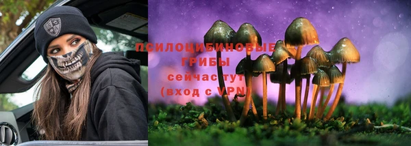 спиды Белокуриха