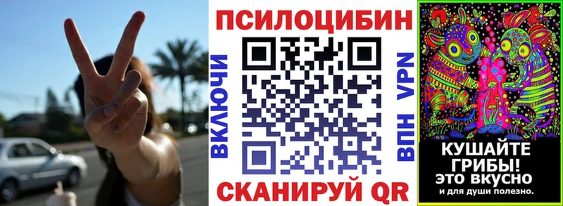 hydra ТОР Кыштым Псилоцибиновые грибы Psilocybe